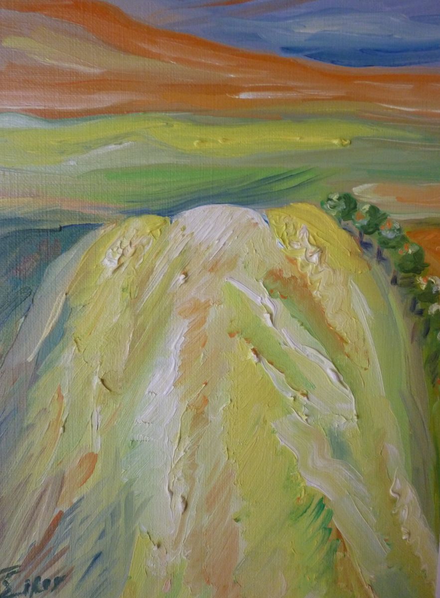 Flatland-III